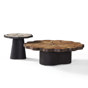 Lianye Coffee Table - Image 2