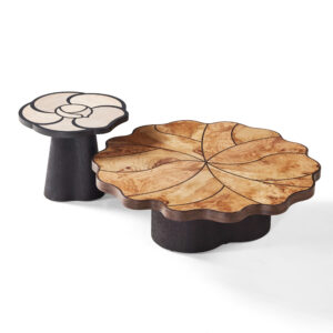 Lianye Coffee Table
