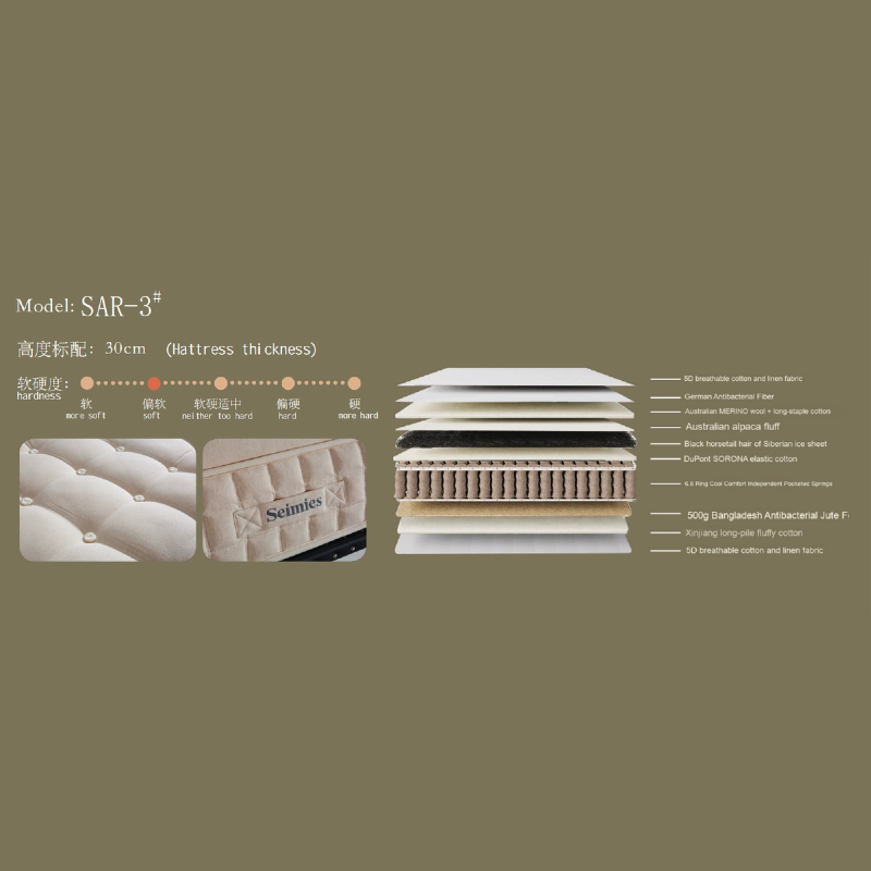 SAR-3 - Image 2