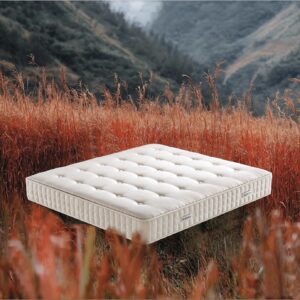 SAR-5