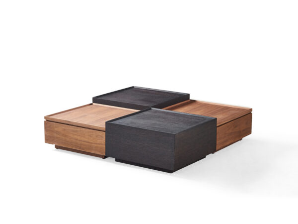Combination coffee table