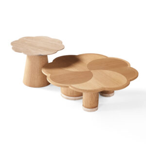 Chunxu Coffee Table